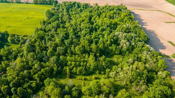 Mount Gilead, OH 43338,0 Township Road 92