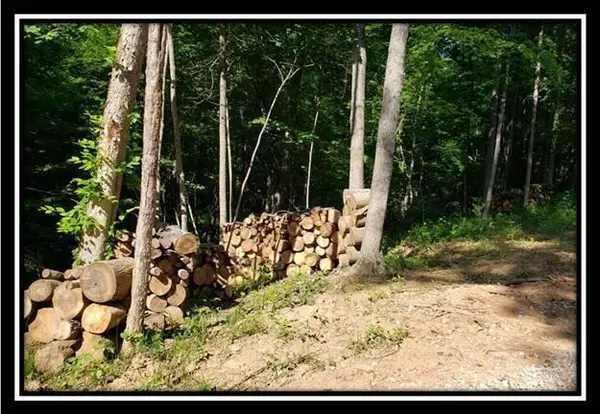 Stewart, OH 45778,19393 Winner Lane #Tract 5