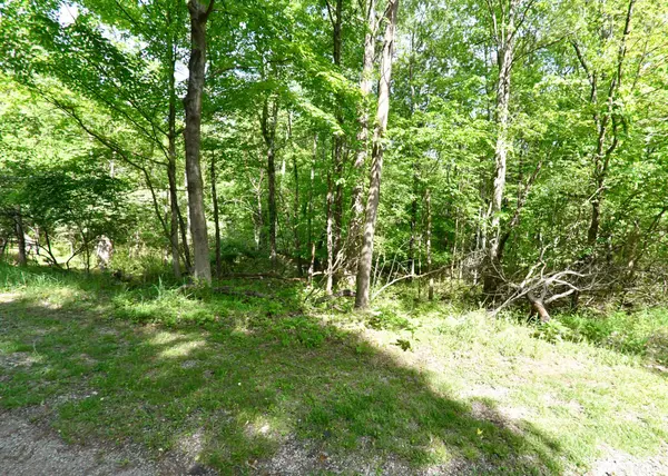 Sugar Grove, OH 43155,376 Osage L Lane #Lots 376-377