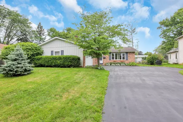 Westerville, OH 43081,223 Storington Road