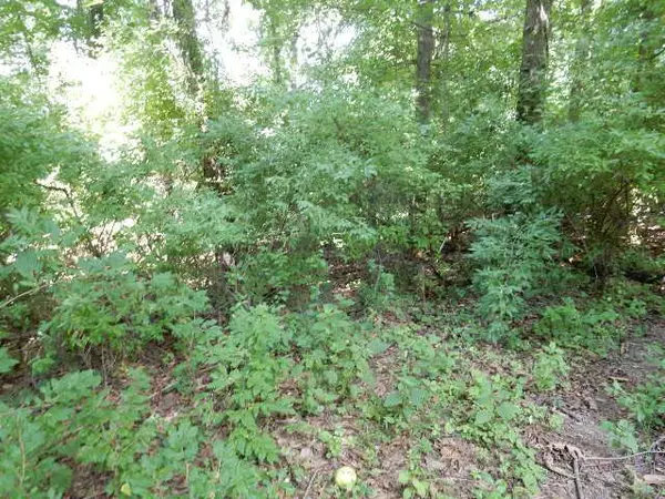 Howard, OH 43028,0 Mcintosh Drive #Lot 460 Lakeview Hts Sub.