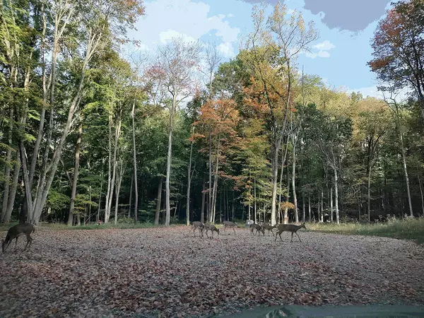 Pataskala, OH 43062,207 Leezy Drive #Lot 9