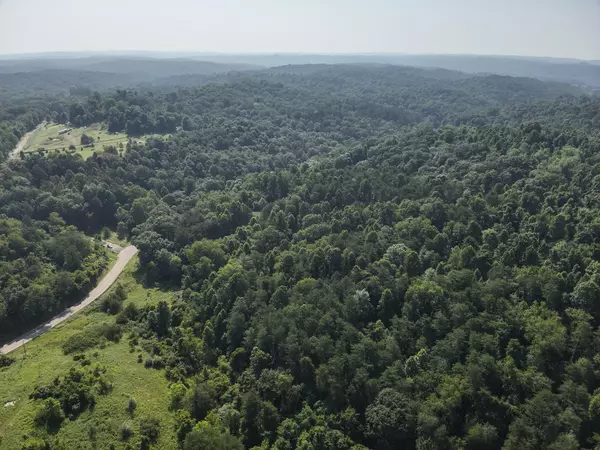 0 S Curtis Hollow Tr 272, Long Bottom, OH 45743