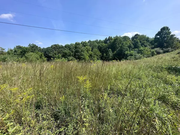 Dexter City, OH 45727,0 Delancey School House Road #Lot #2