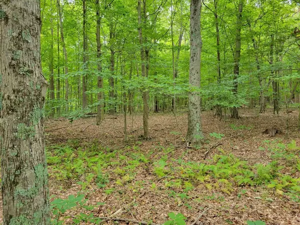 Piketon, OH 45661,1162 Boswell Run Road