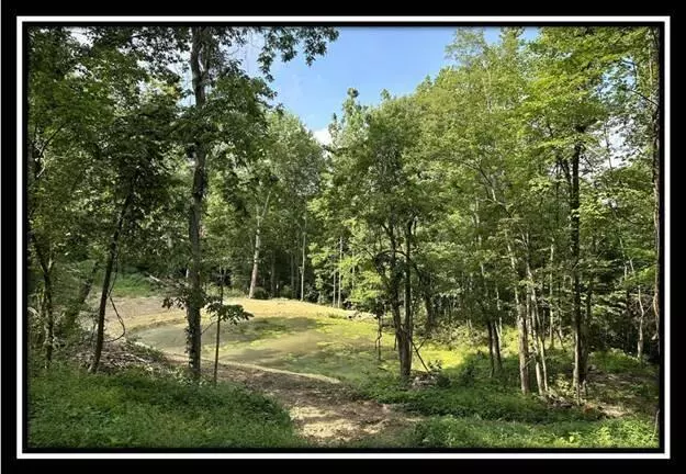 0 Old State Road #(Tract A), Crooksville, OH 43731