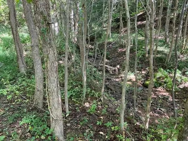 West Portsmouth, OH 45663,1444 Dry Run Road