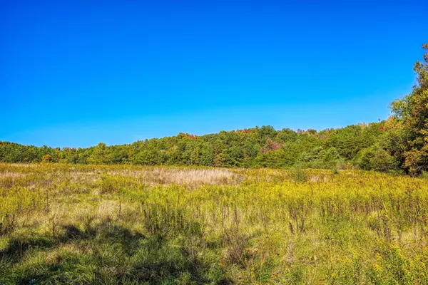 Mcarthur, OH 45651,0 Prattsville Road