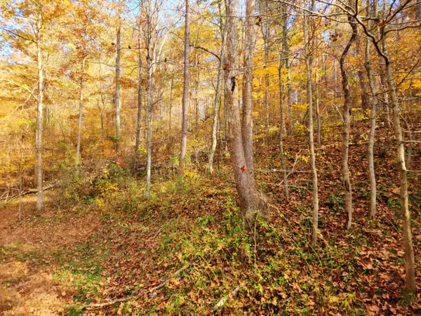 Oak Hill, OH 45656,0 State Route 139