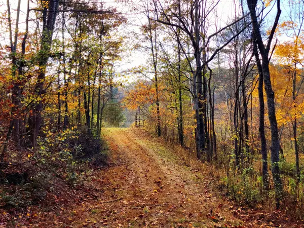 Oak Hill, OH 45656,0 State Route 139