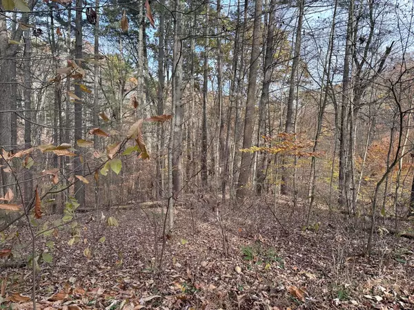 0 Morningside Drive, Glouster, OH 45732