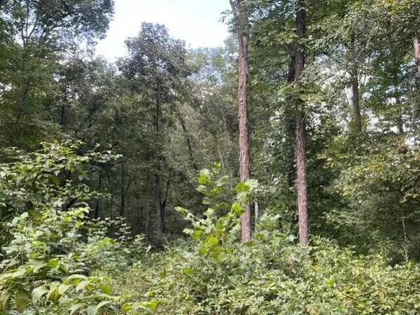 Oak Hill, OH 45656,0 Slab Hill Road