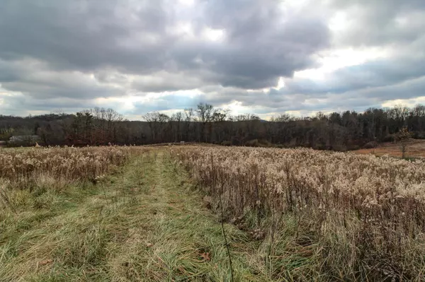 Blue Rock, OH 43720,0 Shaver Road