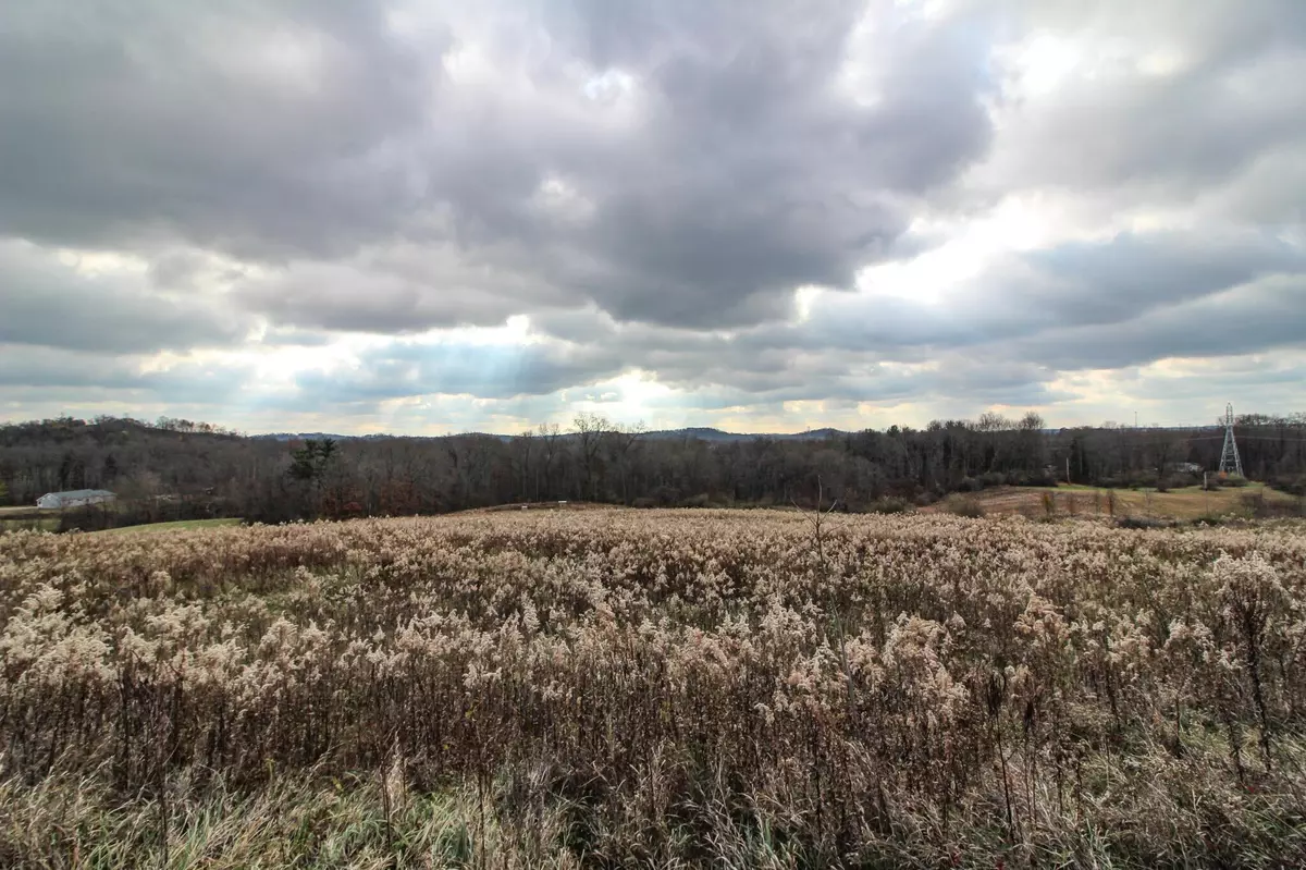 Blue Rock, OH 43720,0 Shaver Road