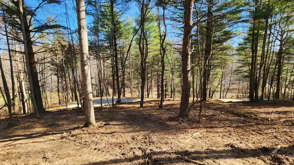 South Bloomingville, OH 43152,0 Blue Creek Road #(Tract 2)