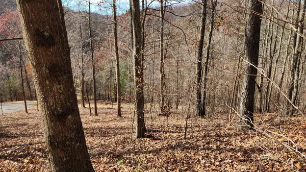 South Bloomingville, OH 43152,0 Vandergriff Road #(Tract 3)