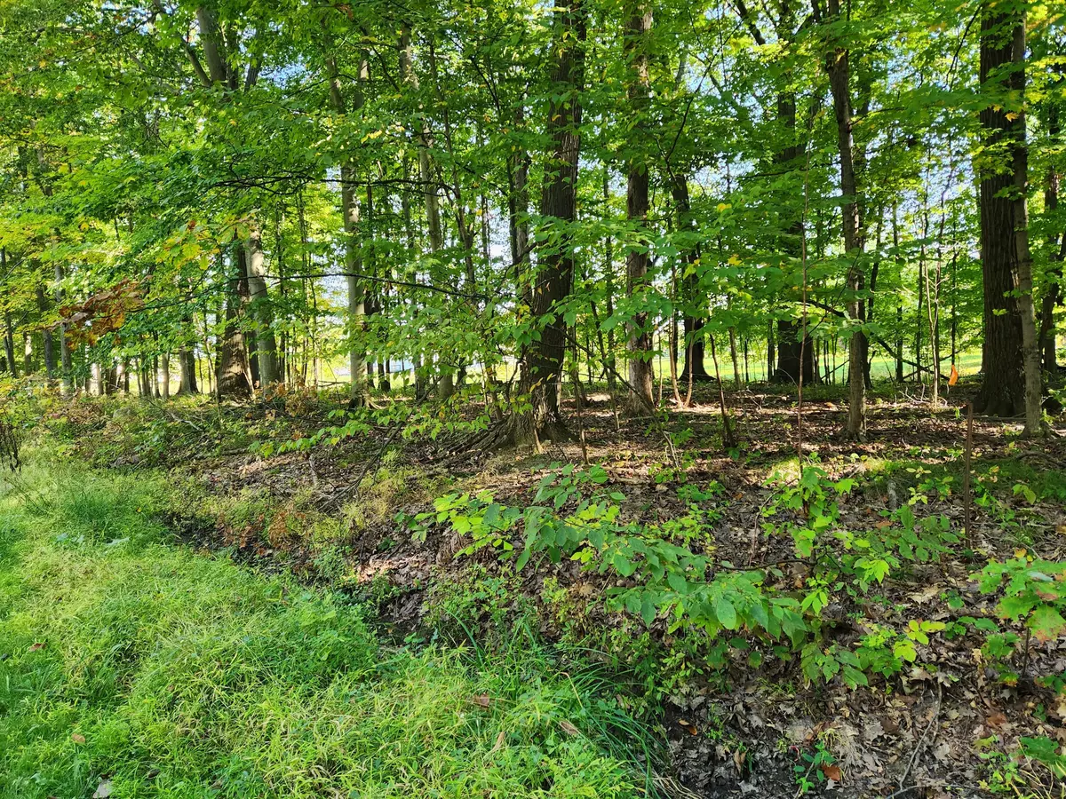 Mount Gilead, OH 43338,7326 State Route 19 #Unit 11 Lot 40