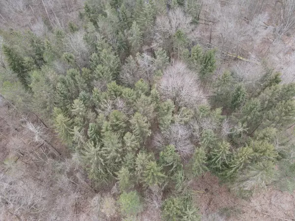 Mount Gilead, OH 43338,CO RD 23