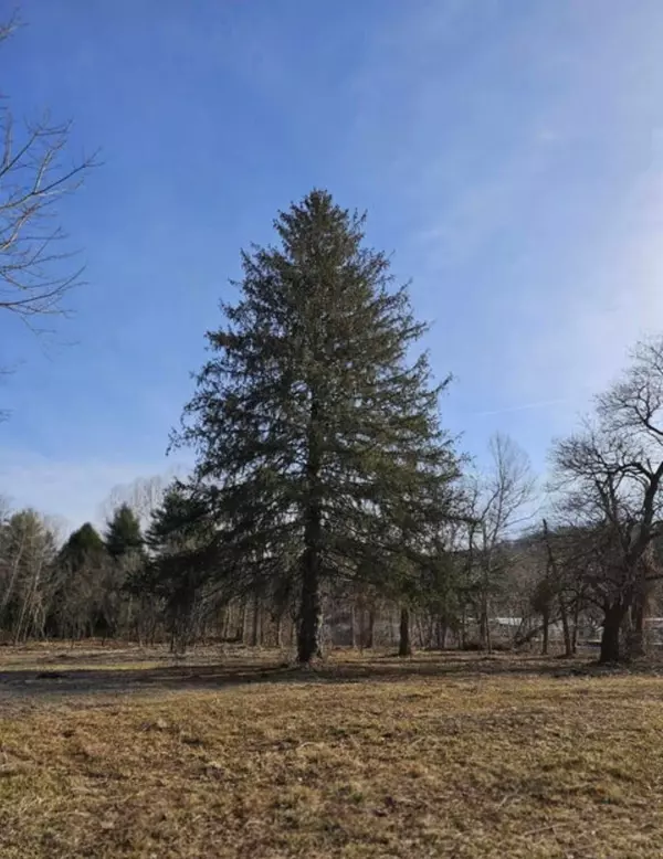 4266 State Route 220 #Lot A, Waverly, OH 45690