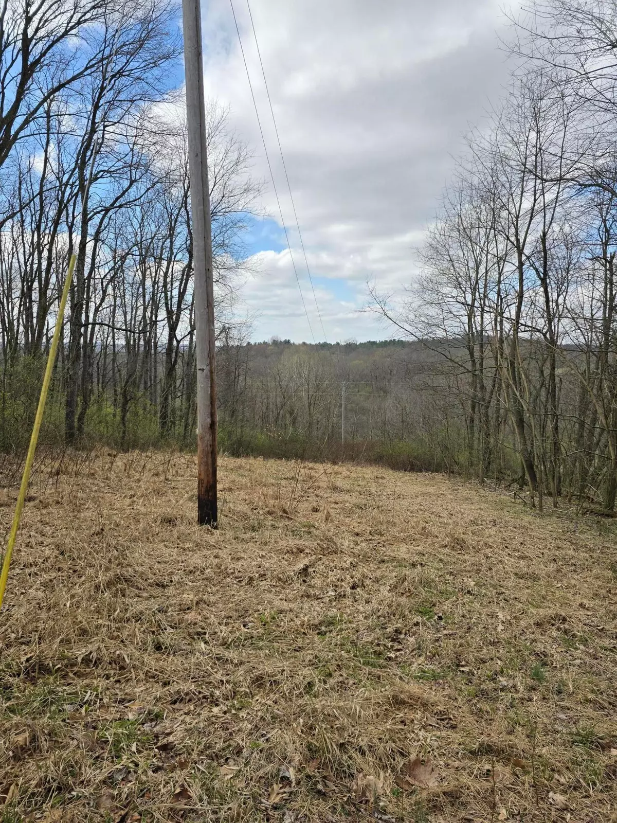 Coshocton, OH 43812,19174 Township Rd 67b #LOT 2