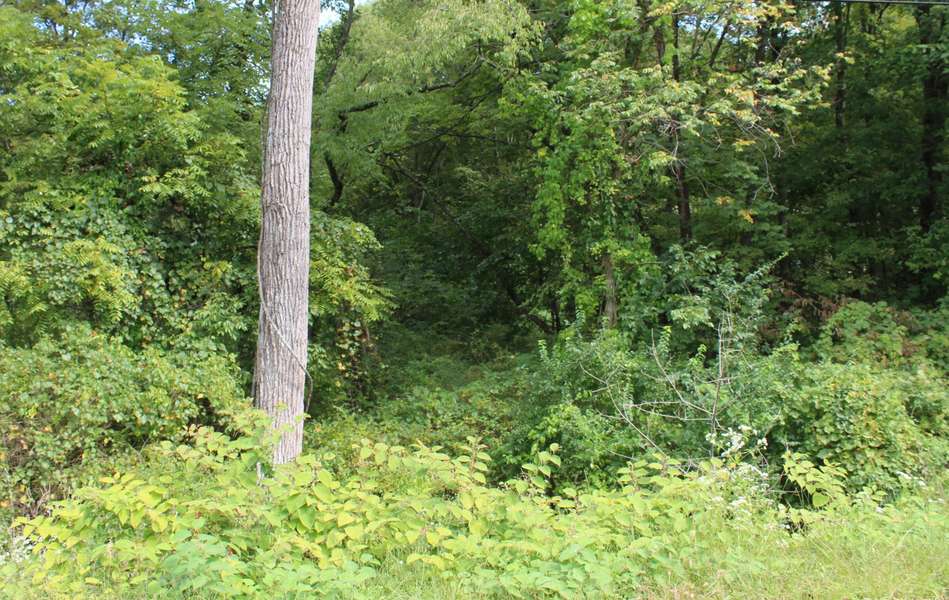 0 Brentview Drive #Lot 123, Newark, OH 43055