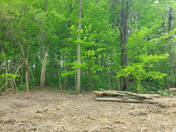 0 Summer Crest Drive #Lot 9, Galena, OH 43021