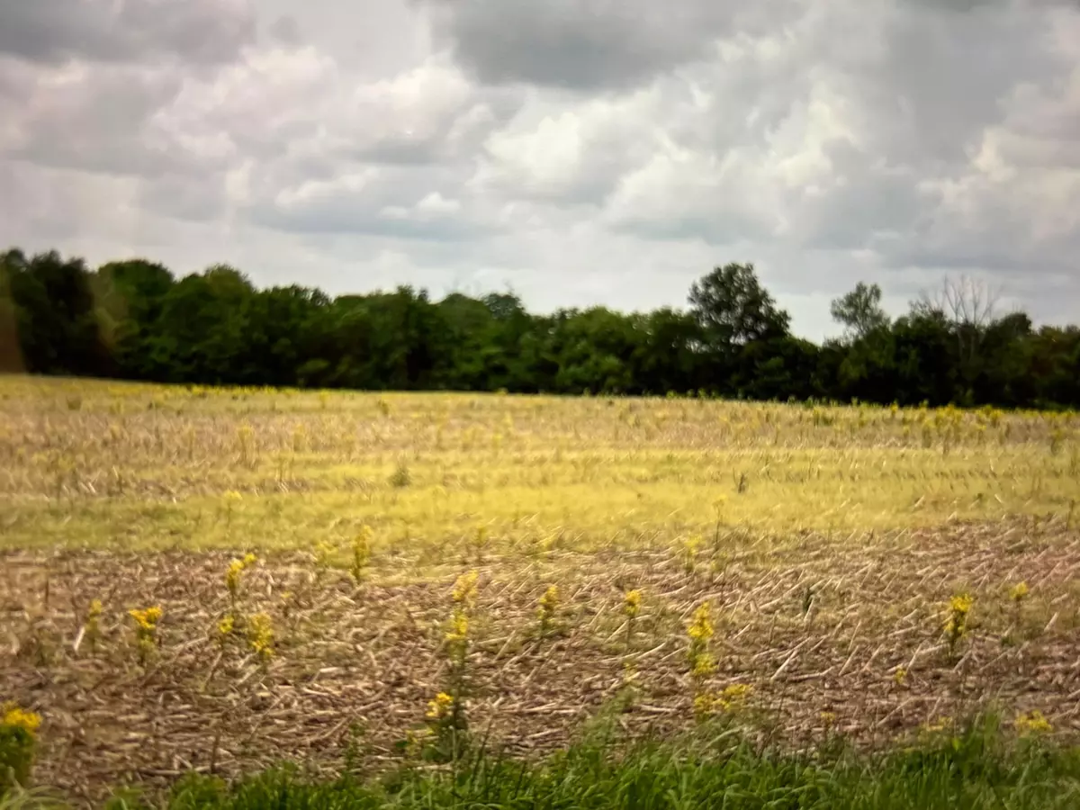 Circleville, OH 43113,3 Shoemaker Rd