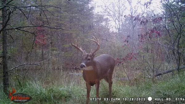 Patriot, OH 45658,1599 Hull Road #(Tract 6 Woods Wayne Forest)