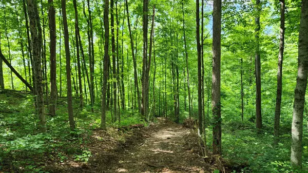 Glouster, OH 45732,0 Pounds Road #(Tract 2 Pounds Road)