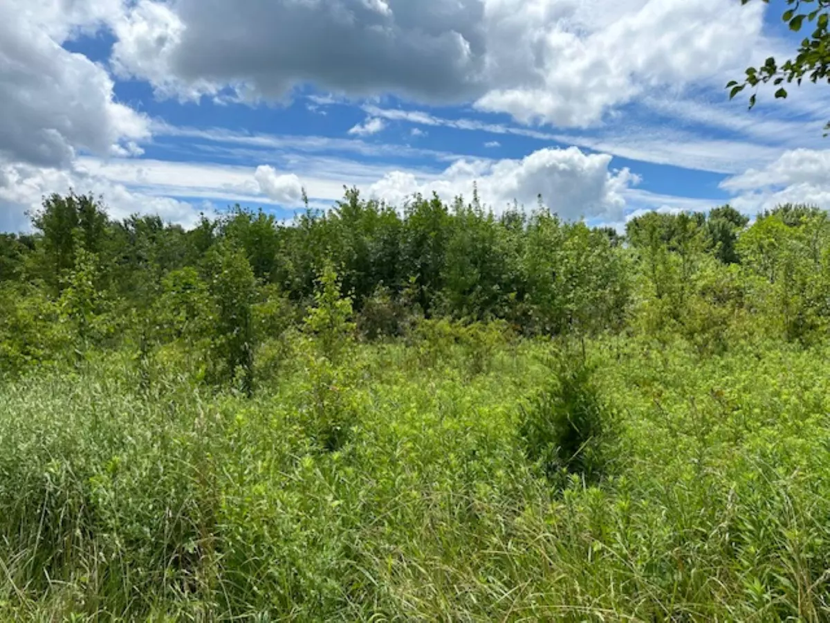 Cardington, OH 43315,2261 S 3rd Street