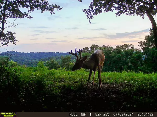 Patriot, OH 45658,736 Hull Road #(Tract 15 Woods Wayne Forest)