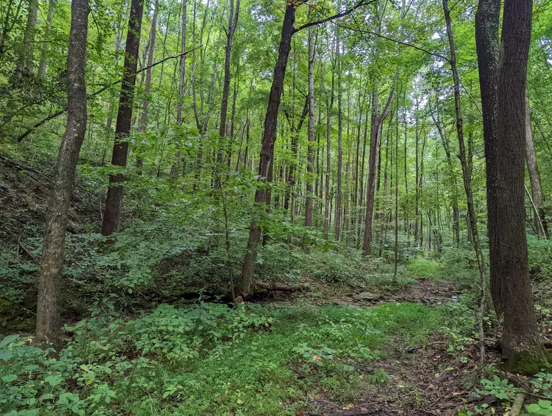 5051 Auerville Road, Bainbridge, OH 45612