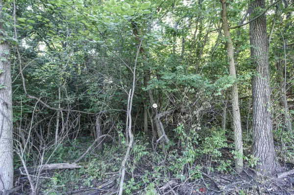 Bainbridge, OH 45612,0 Rapid Forge Road