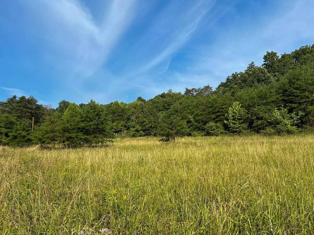 Reedsville, OH 45772,0 Little Forest Run Road