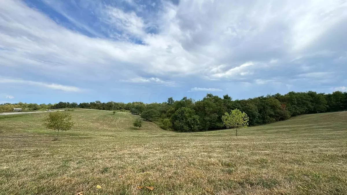 Chesterhill, OH 43728,3135 Thomas Road