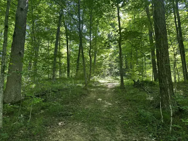 Patriot, OH 45658,1088 Hull Road #(Tract 10 Woods Wayne Forest)