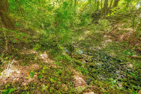 Circleville, OH 43113,21582 Winstead Road