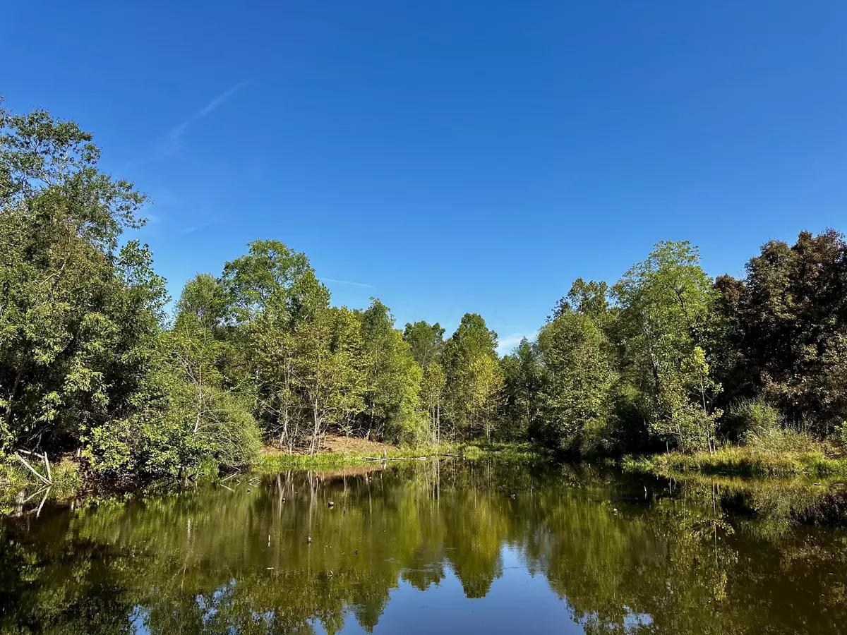 New Straitsville, OH 43766,0 Dutch Ridge Rd #(Tract 5 at Dutch Ridge)