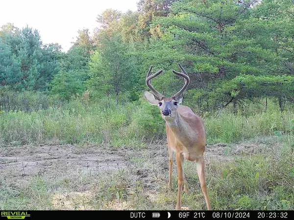 New Straitsville, OH 43766,0 Town Hwy 242 #(Tract 8 at Dutch Ridge)