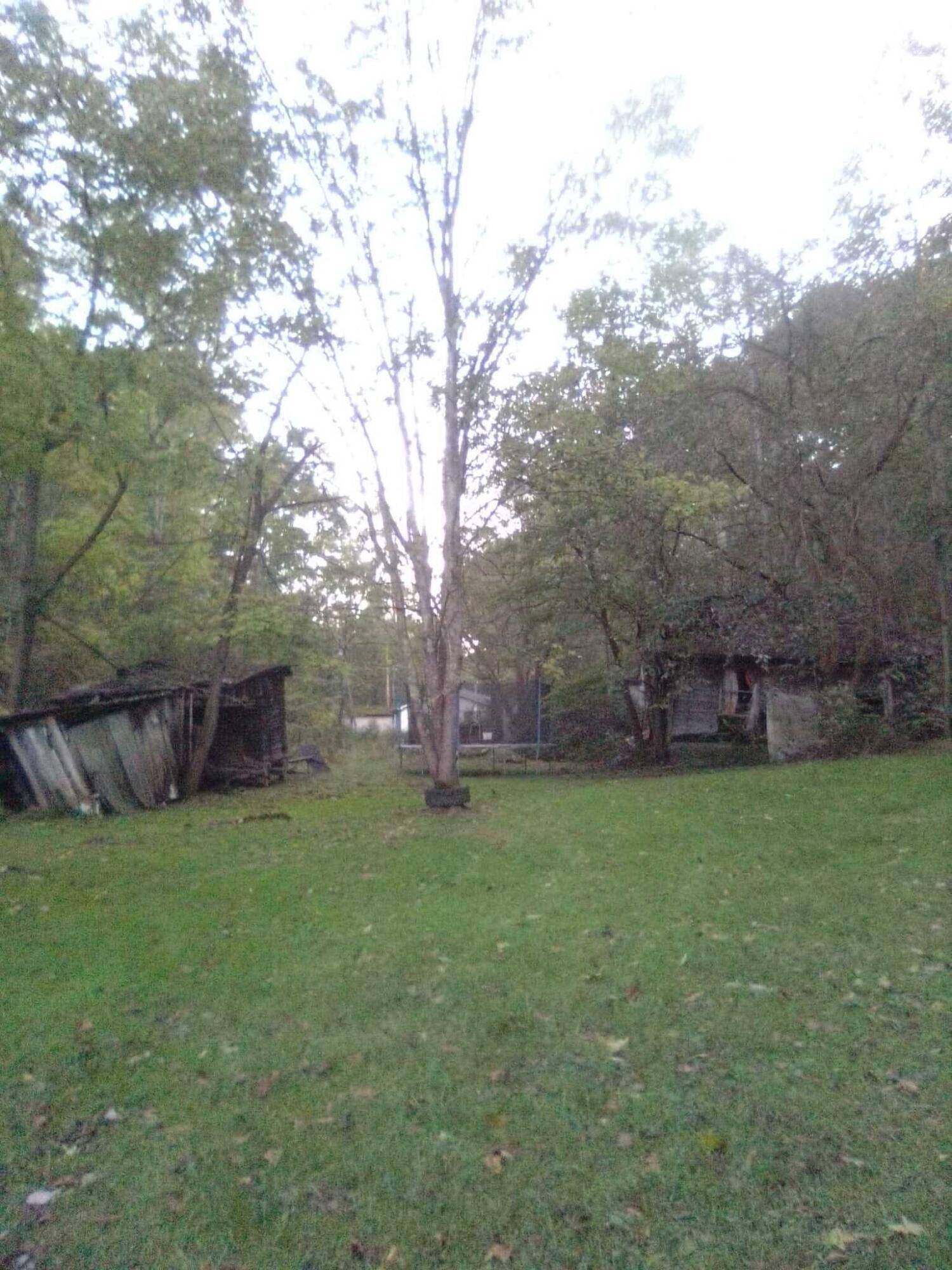 Minford, OH 45653,5856 White Gravel McDaniel Road