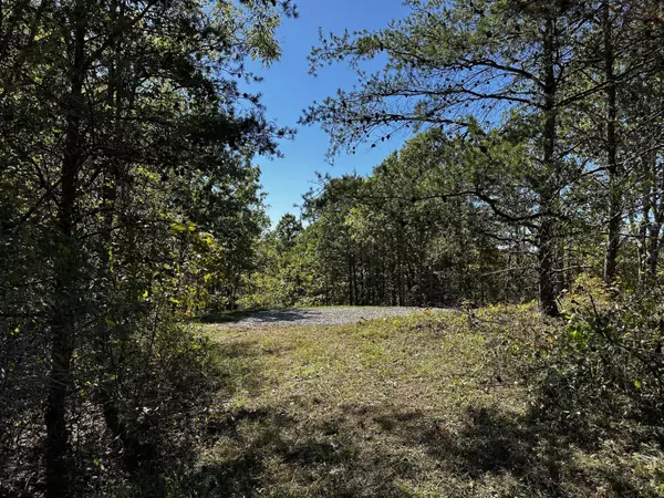 Patriot, OH 45658,865 Hull Road #(Tract 13 Woods Wayne Forest)