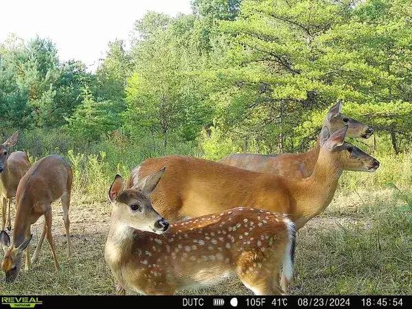 New Straitsville, OH 43766,0 Dutch Ridge Rd #(Tract 6 at Dutch Ridge)