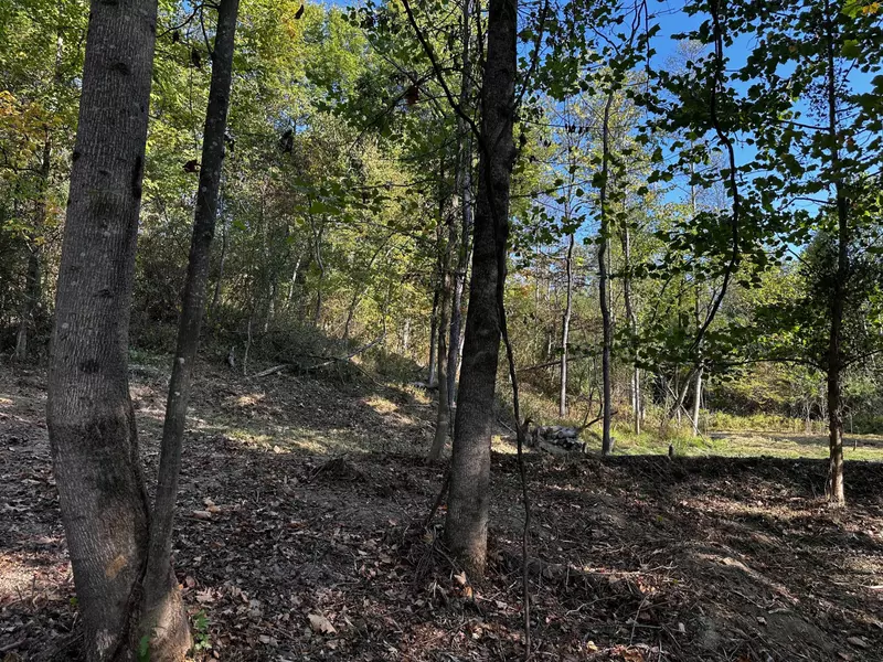 0 Dutch Ridge Rd #(Tract 4 at Dutch Ridge), New Straitsville, OH 43766