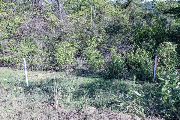 Marietta, OH 45750,3 Moss Run Road