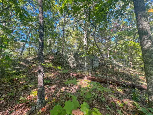 Patriot, OH 45658,1288 Burnette Road