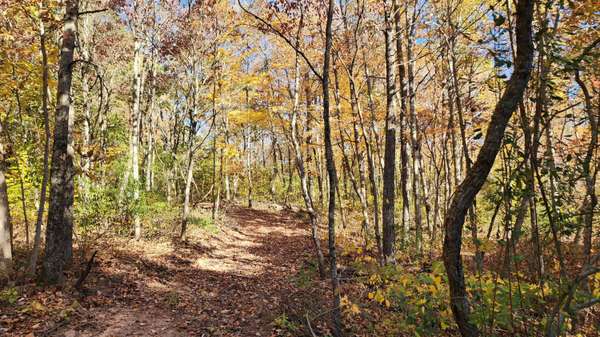 0 Pounds Road #(Tract 1 Pounds Road), Glouster, OH 45732