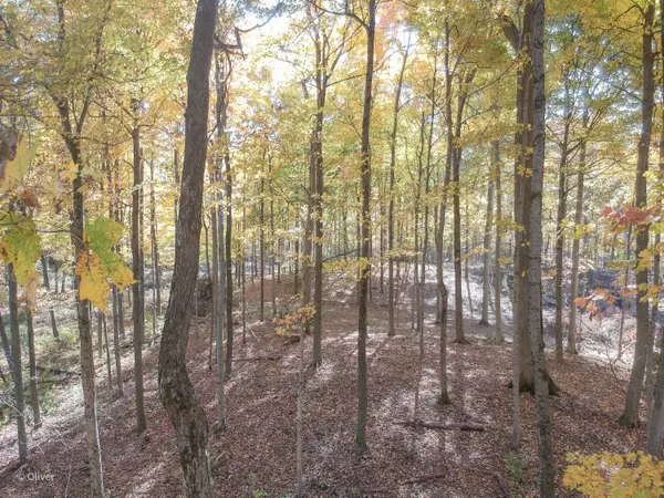 West Liberty, OH 43357,0 Twp Rd 163