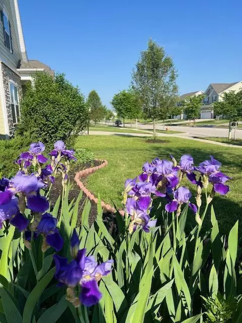 Lewis Center, OH 43035,162 Mcnamara Loop