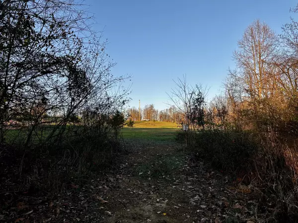 New Straitsville, OH 43766,7374 Dutch Ridge Rd #(Tract 2 at Dutch Ridge)