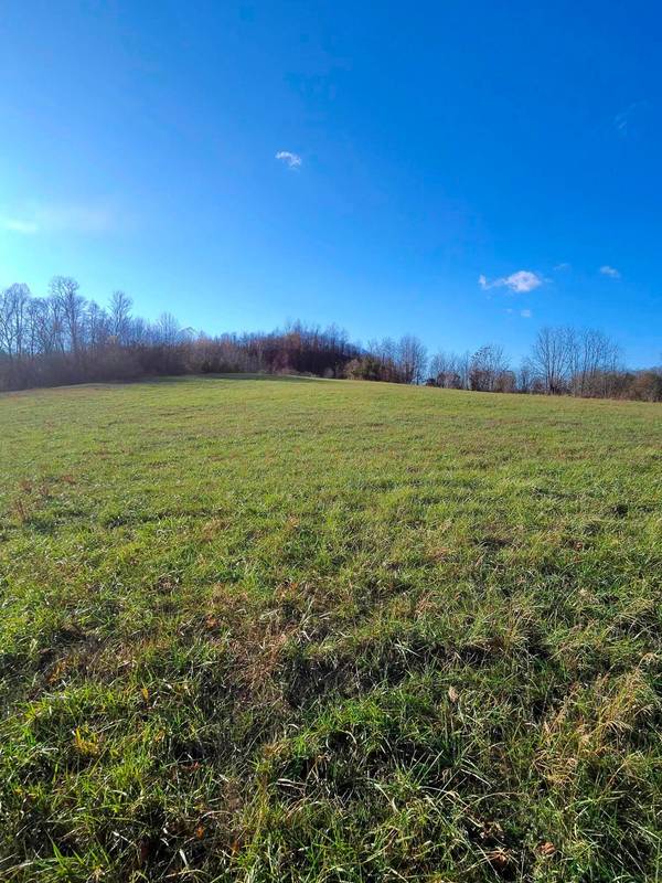 34919 SR 681 Road #(Tract 8 Albany Woods), Albany, OH 45710